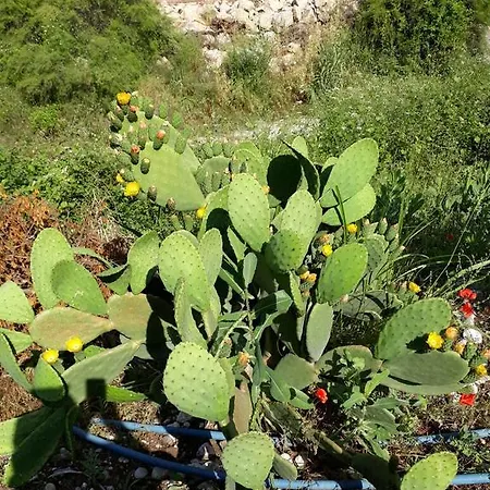 בית נופש Hamiyet Ogretmenin Tatil Evi *